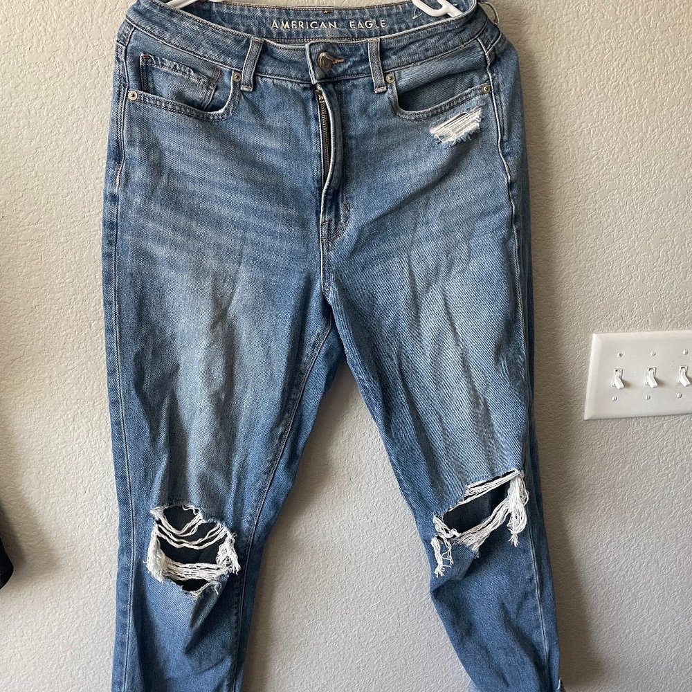 American Eagle Distressed Mom Jeans